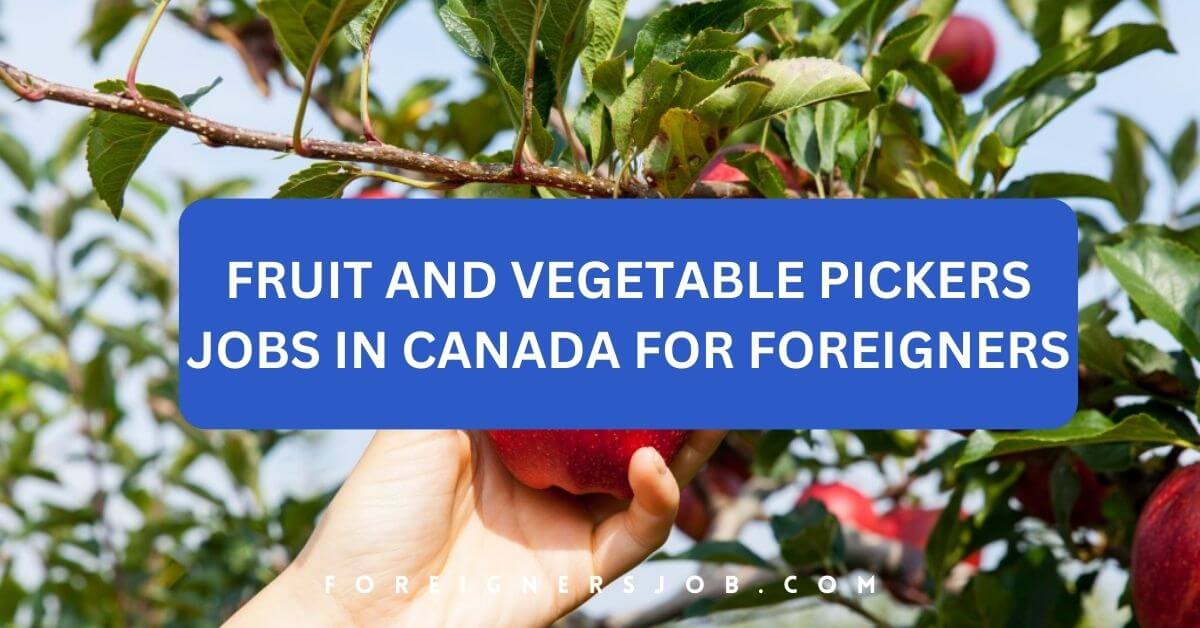 Fruit And Vegetable Pickers Jobs in Canada For Foreigners