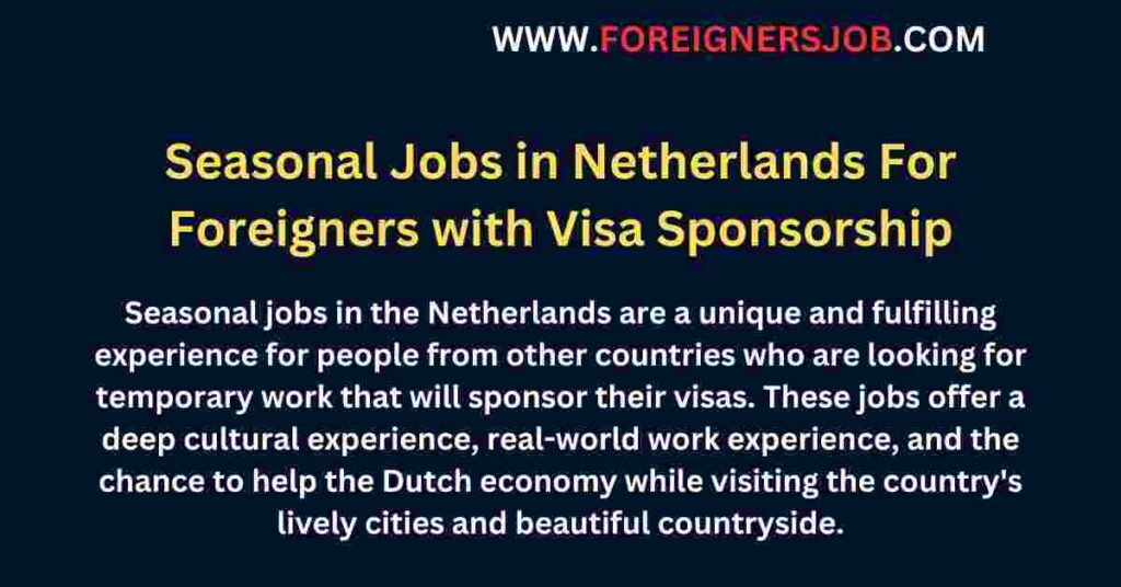 Seasonal Jobs in Netherlands For Foreigners with Visa Sponsorship